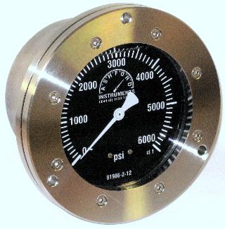 Compensated Subsea Pressure Gauge - 100mm Stainless Steel Case