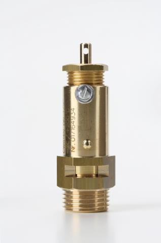 C10 Series Nuova General Pressure Relief Valve - Free Outlet